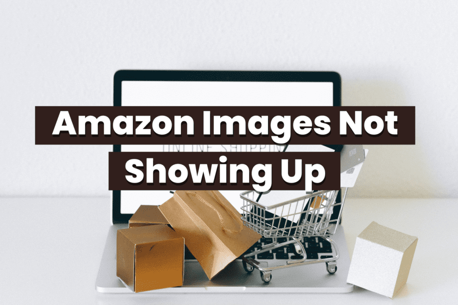 Amazon Images Not Showing Up